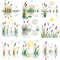 Cattail Grass Watercolor Clipart PNG Bundle Rustic Wetland Botanical Art Wild Grass Reeds Digital D