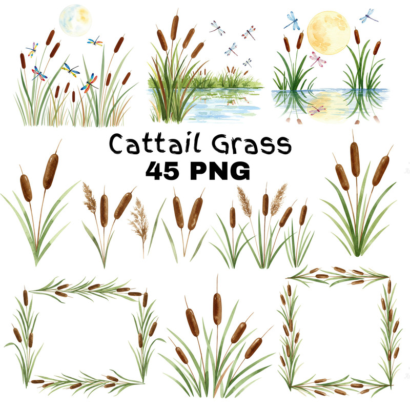 Cattail Grass Watercolor Clipart PNG Bundle Rustic Wetland Botanical Art Wild Grass Reeds Digital D