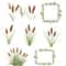 Cattail Grass Watercolor Clipart PNG Bundle Rustic Wetland Botanical Art Wild Grass Reeds Digital D