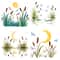 Cattail Grass Watercolor Clipart PNG Bundle Rustic Wetland Botanical Art Wild Grass Reeds Digital D