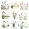Cattail Grass Watercolor Clipart PNG Bundle Rustic Wetland Botanical Art Wild Grass Reeds Digital D