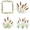 Cattail Grass Watercolor Clipart PNG Bundle Rustic Wetland Botanical Art Wild Grass Reeds Printable