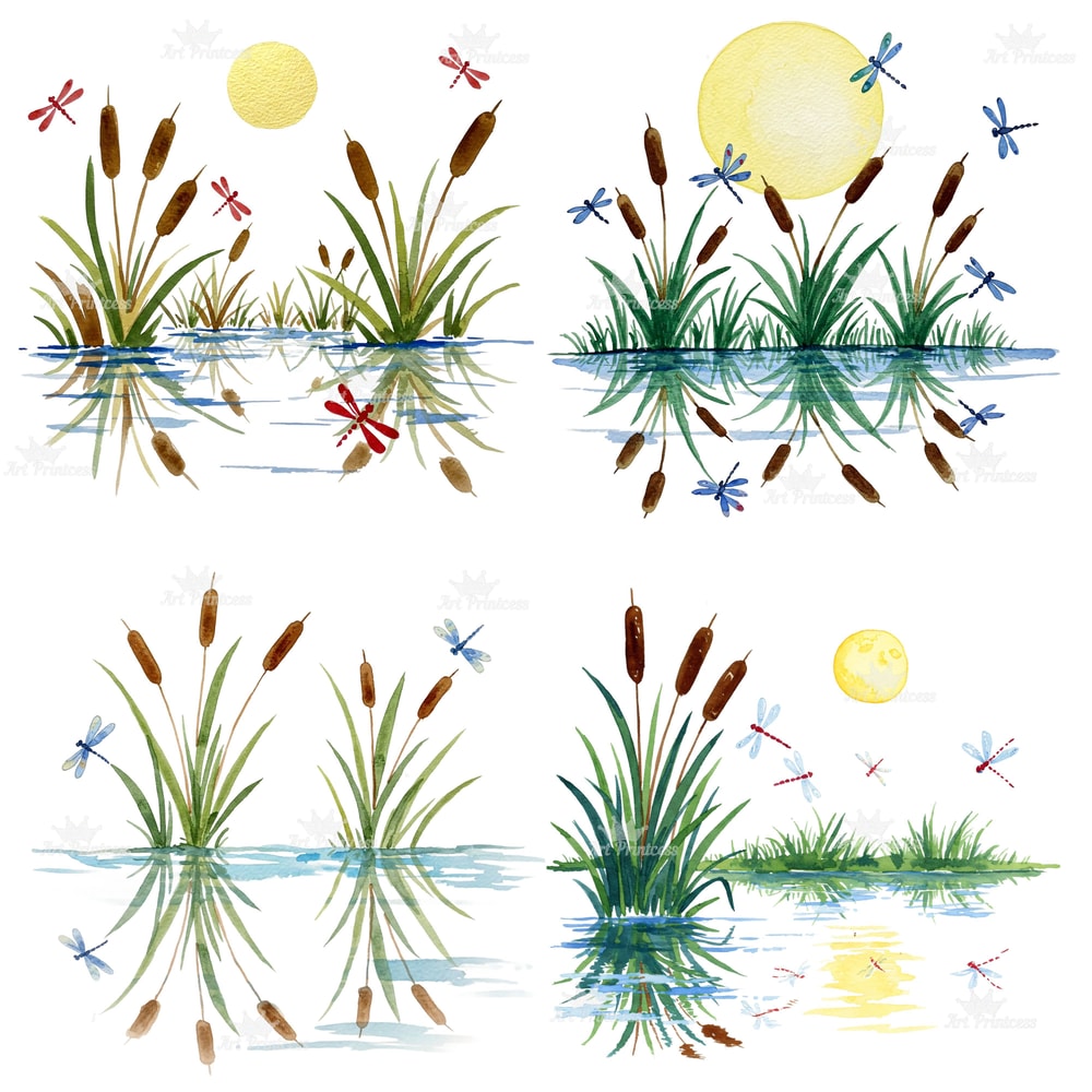 Cattail Grass Watercolor Clipart PNG Bundle Rustic Wetland Botanical Art Wild Grass Reeds Printable