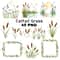 Cattail Grass Watercolor Clipart PNG Bundle Rustic Wetland Botanical Art Wild Grass Reeds Printable