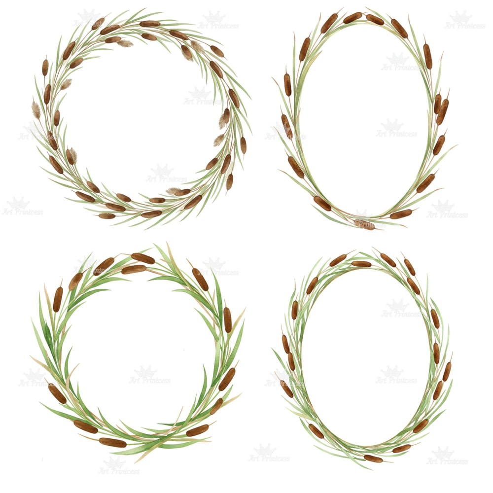 Cattail Grass Watercolor Clipart PNG Bundle Rustic Wetland Botanical Art Wild Grass Reeds Printable