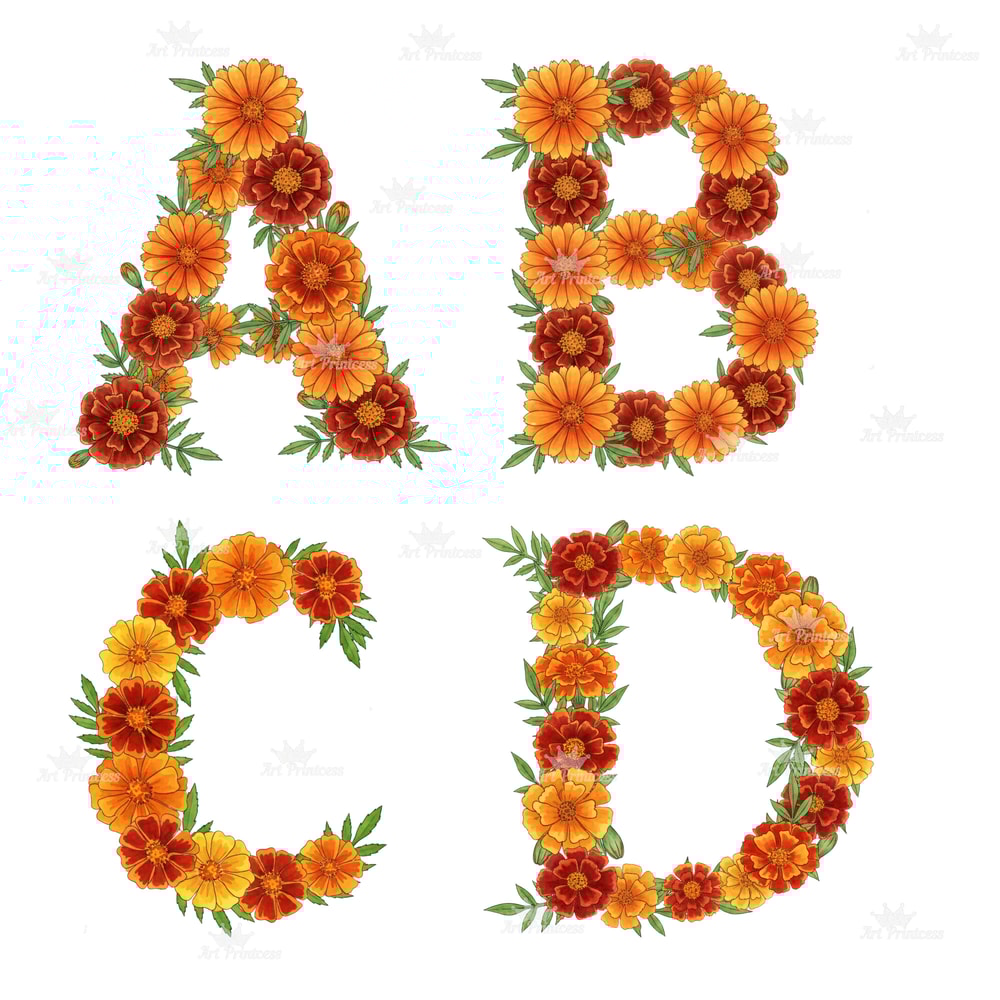 Watercolor Marigold Alphabet PNG Clipart October Birth Flower Floral Letters Floral Monogram Sublim 14