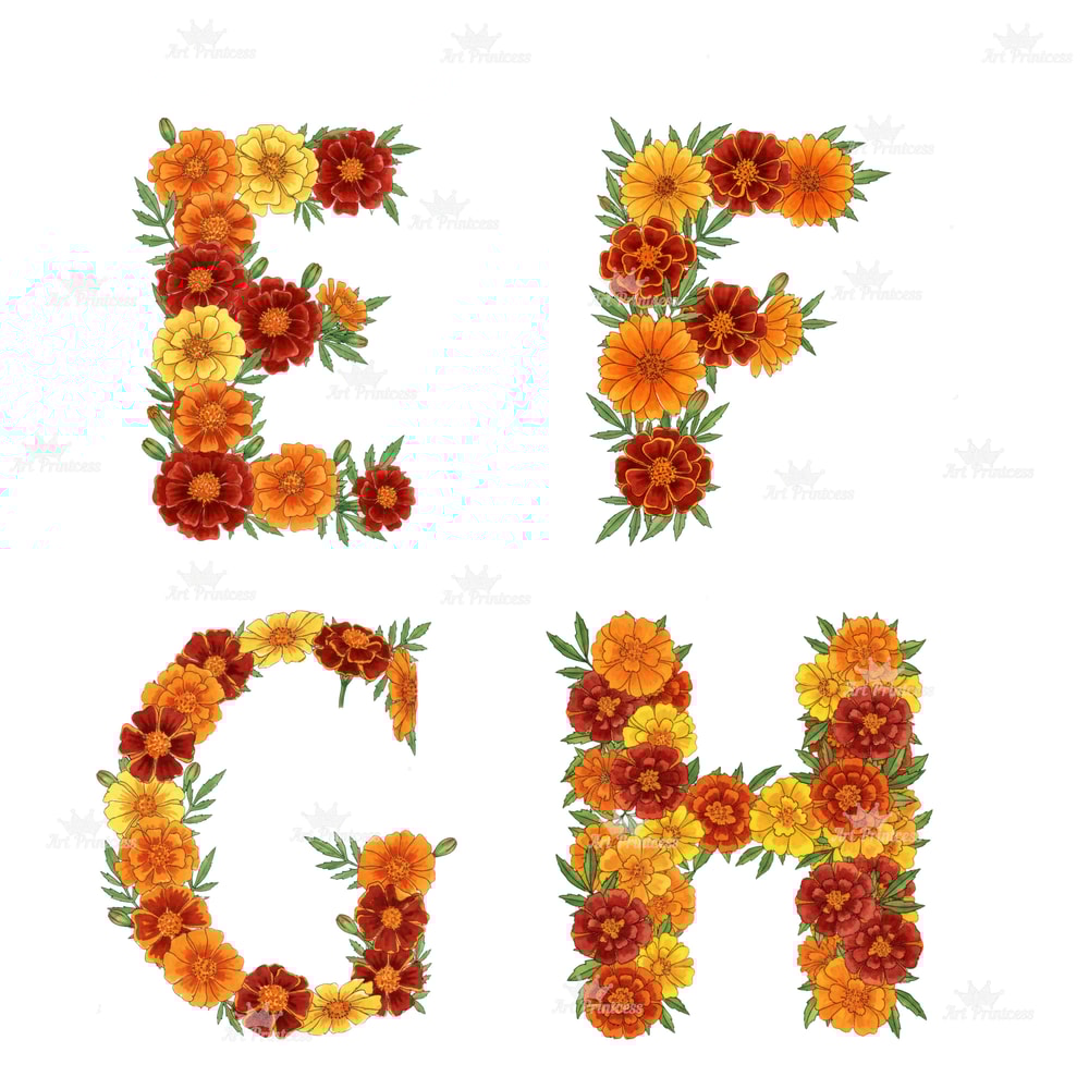 Watercolor Marigold Alphabet PNG Clipart October Birth Flower Floral Letters Floral Monogram Printa 6