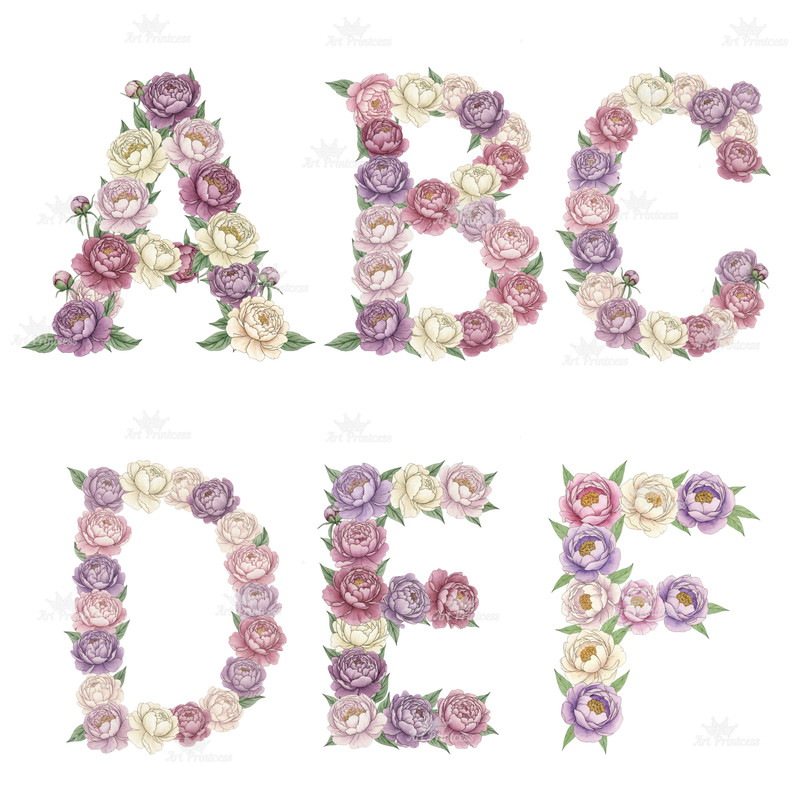 November Birth Month Flowers Alphabet Chrysanthemum  Peony Floral Letters PNG Floral Initial Letter 2