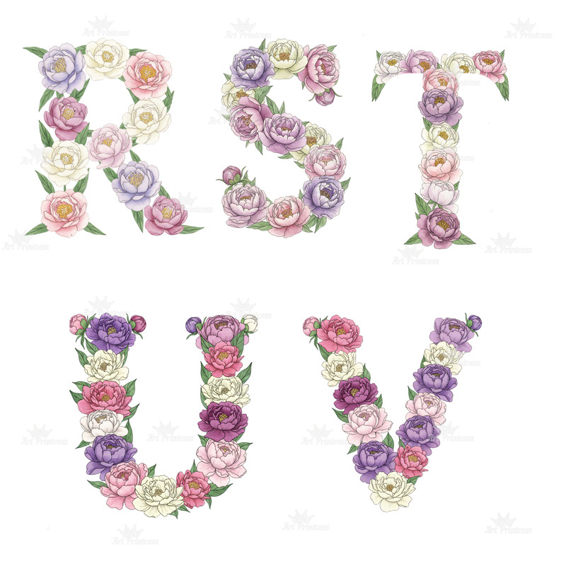 November Birth Month Flowers Alphabet Chrysanthemum  Peony Floral Letters PNG Floral Initial Letter 14