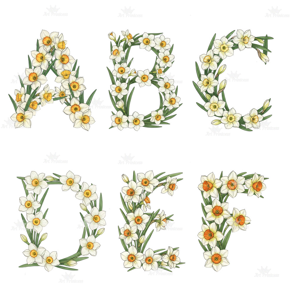 December Birth Flower Alphabet Clipart PNG Narcissus Holly Letters Bundle Floral Monogram Clipart D
