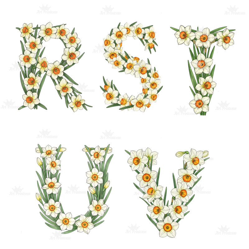 December Birth Flower Alphabet Clipart PNG Narcissus Holly Letters Bundle Floral Monogram Clipart D