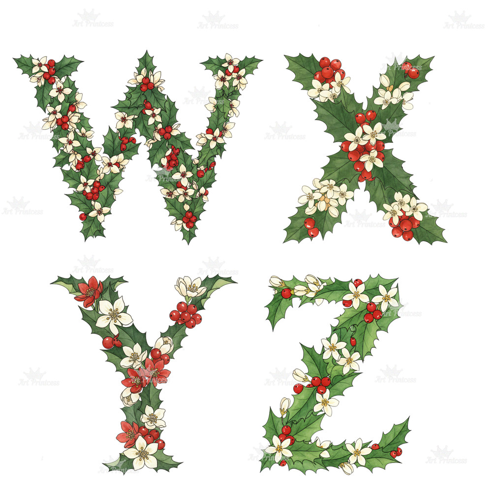 December Birth Flower Alphabet Clipart PNG Narcissus Holly Letters Bundle Floral Monogram Clipart D