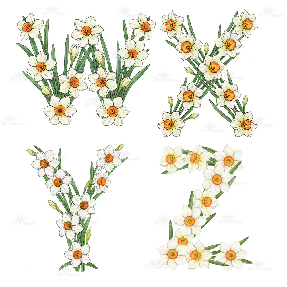 December Birth Flower Alphabet Clipart PNG Narcissus Holly Letters Bundle Floral Monogram Sublimati 11