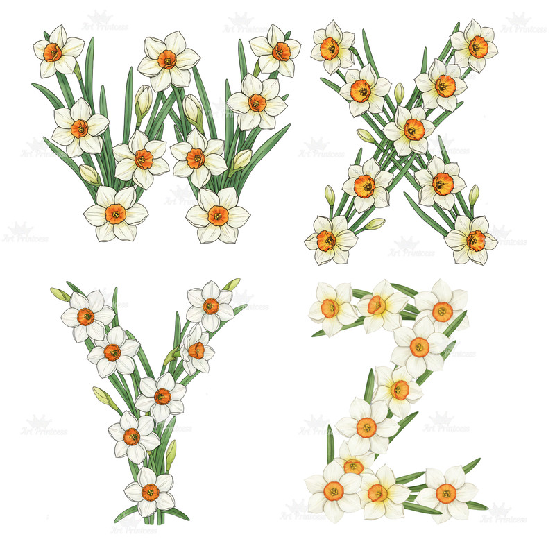 December Birth Flower Alphabet Clipart PNG Narcissus Holly Letters Bundle Floral Monogram Sublimati 11