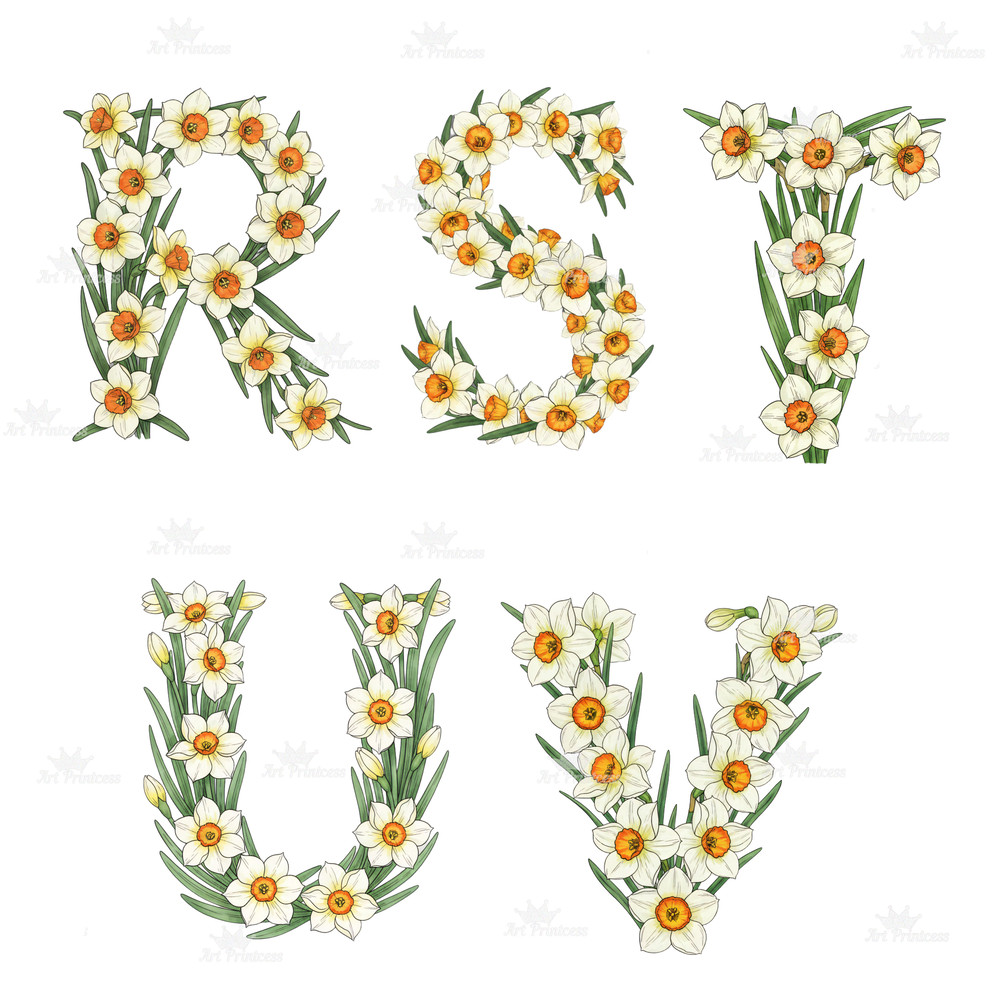 December Birth Flower Alphabet Clipart PNG Narcissus Holly Letters Bundle Floral Monogram Sublimati 9