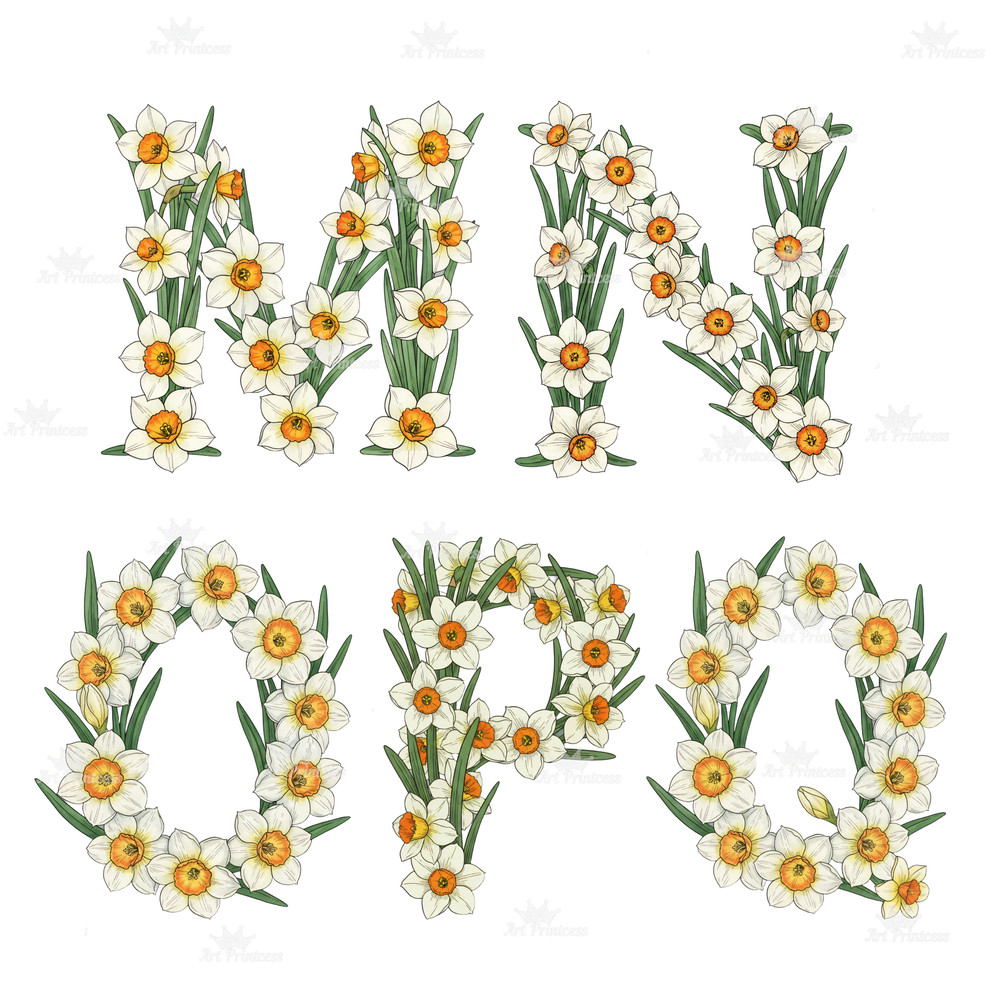 December Birth Flower Alphabet Clipart PNG Narcissus Holly Letters Bundle Floral Monogram Printable 7