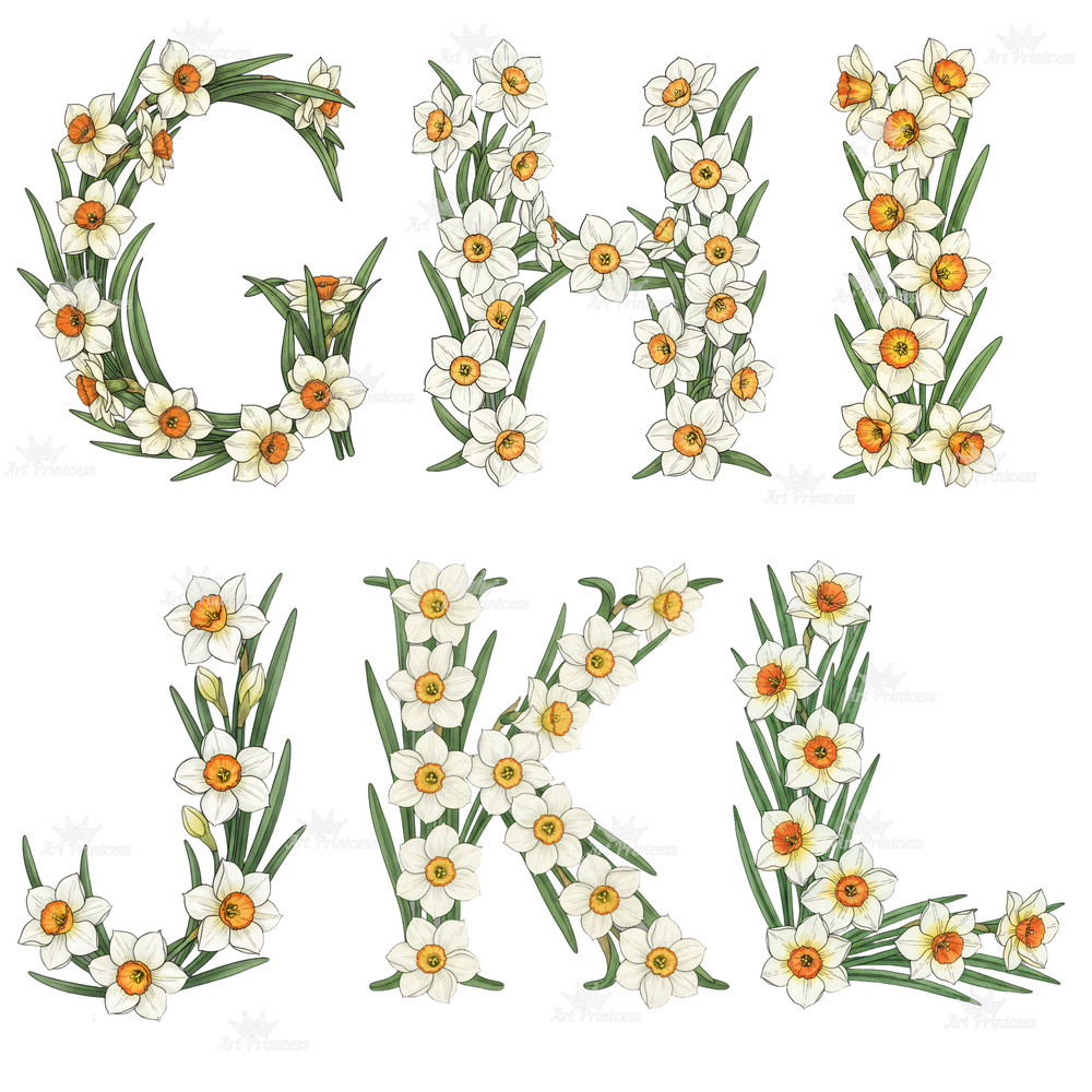 December Birth Flower Alphabet Clipart PNG Narcissus Holly Letters Bundle Floral Monogram Printable 5