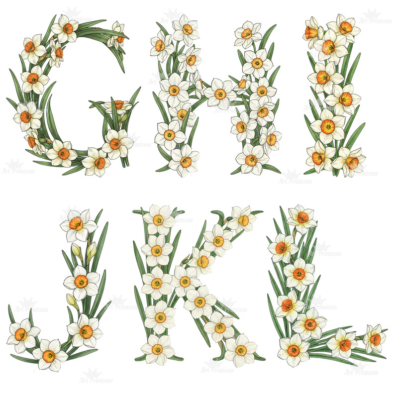 December Birth Flower Alphabet Clipart PNG Narcissus Holly Letters Bundle Floral Monogram Printable 5