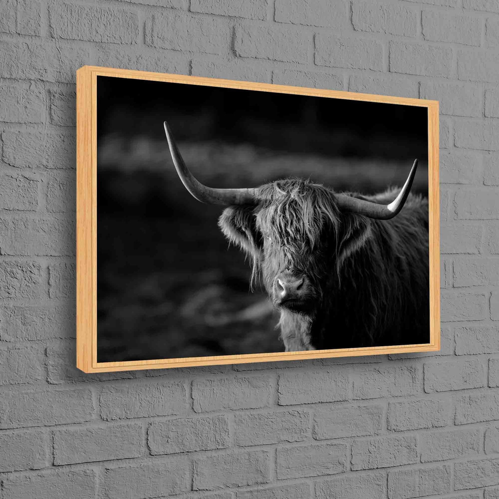 Ox Photo Print, Bison Poster, Cattle Poster, Wild Cow Art, American Bison Artwork, Buffalo Poster, Longhorn Bull Wall Art, Ox Art,.jpg