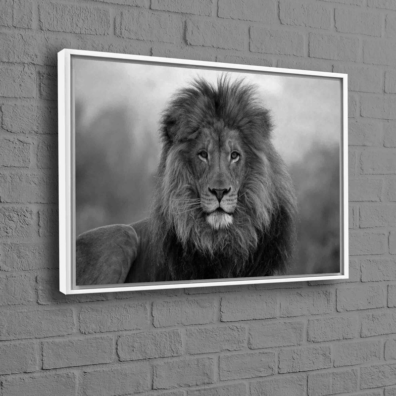 Lion Photo Print, Wild Lion Artwork, Loft Poster, Animal Wall Art, Wild Animal Poster, Lion Wall Art, Wildlife Art, Animalistic Canvas,.jpg