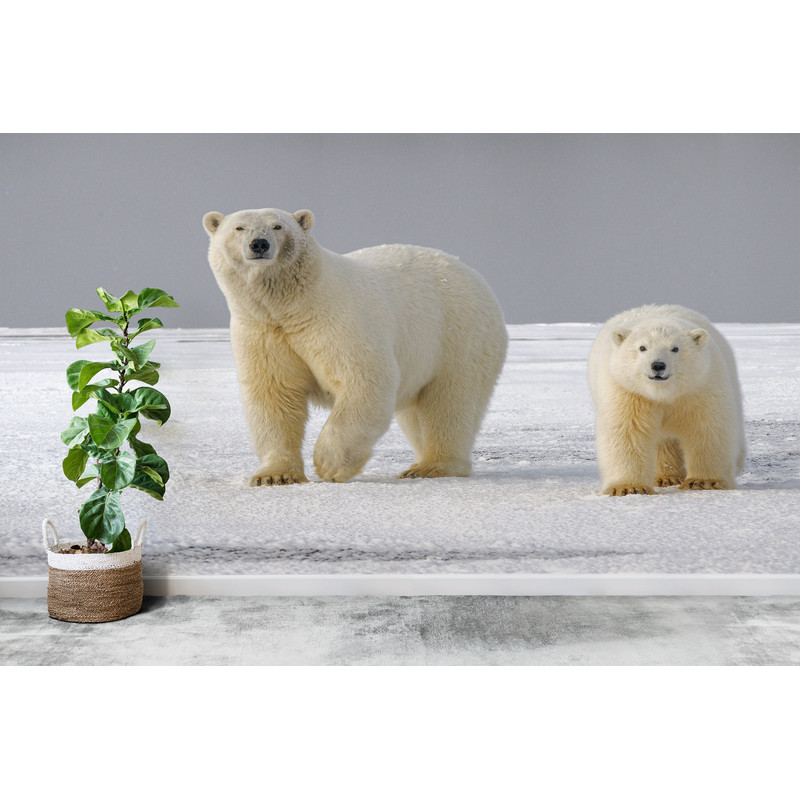 Animal Wallpaper, 3D Origami, Wall Stickers, Bear Mural, Bear Wallpaper, Animal Wall Poster, Modern Wall Paper, Farmhouse Wall Decor,.jpg