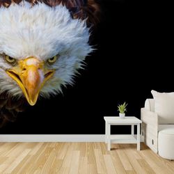 angry bald eagle wall paper, man cave wall art, animal wall paper, modern wallpaper, trendy wallpaper, wallpaper mural a