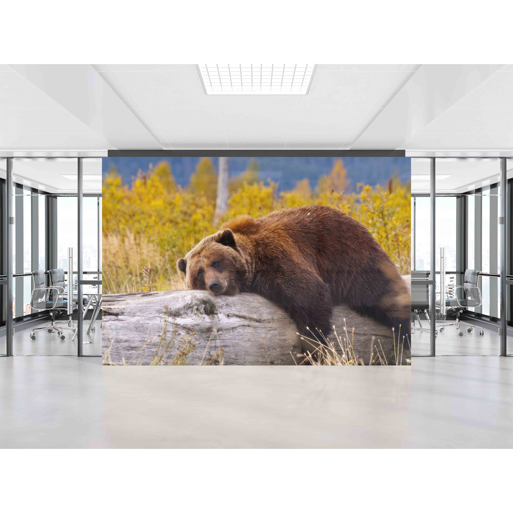 Animal Wall Decor, Funny Bear Wall Paper, Cute Bear Wall Print, Brown Bear Resting on a Log Wall Painting, 3D Paper Art, Living Room Decor,.jpg