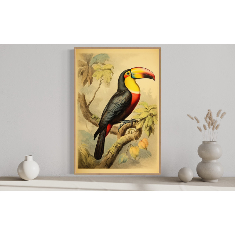 Birds Wall Art Prints, Vintage Toucan Painting Canvas Print or Poster, Tropical Wall Art, Animal Prints Framed  Ready To Hang.jpg