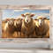 Farm Sheep Photography Style Painting Canvas Print - Rustic Farmhouse Decor - Sheep Wall Art - Framed Or Unframed Ready To Hang.jpg