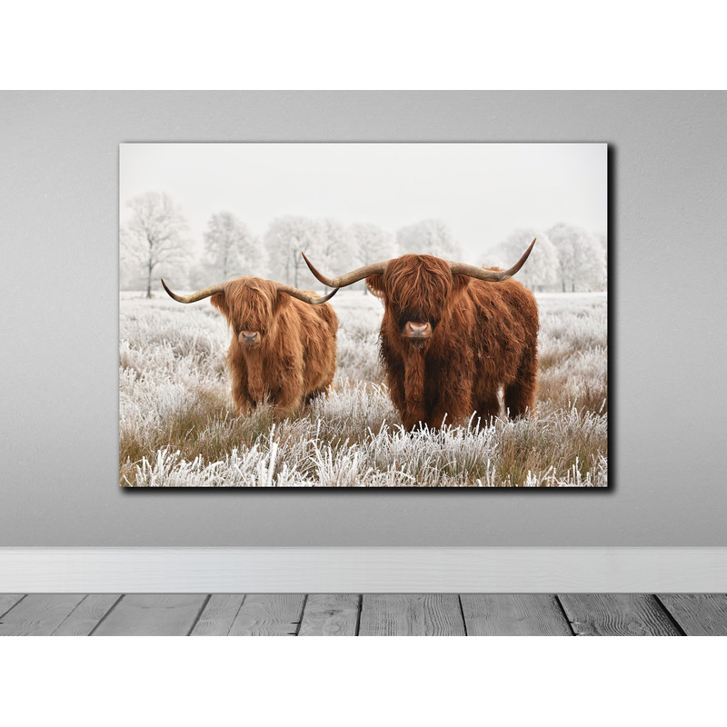 Highland cow canvas wall art Farmhouse decor Cow Black White print Rustic wall decor Animals painting Scottish cow wall art.jpg