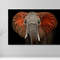 Elephant Canvas Wall Art,Huge Elephant Canvas Print Wall Decor,Animal Canvas Wall Art,Elephant Wall Art for Home Decor,Office Wall Decor.jpg