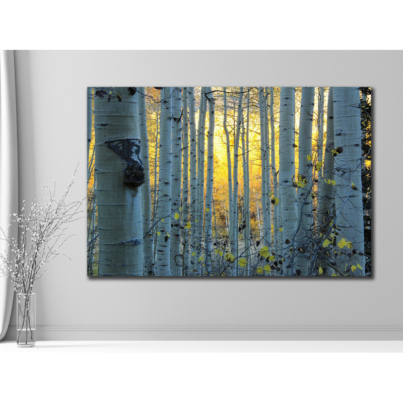 Golden Glimmer Aspen Forest at Sunset,Sunset Art, Forest Canvas, Nature Wall Art, Golden Hour, Tranquil Woods, Landscape Art, Home Decor.jpg