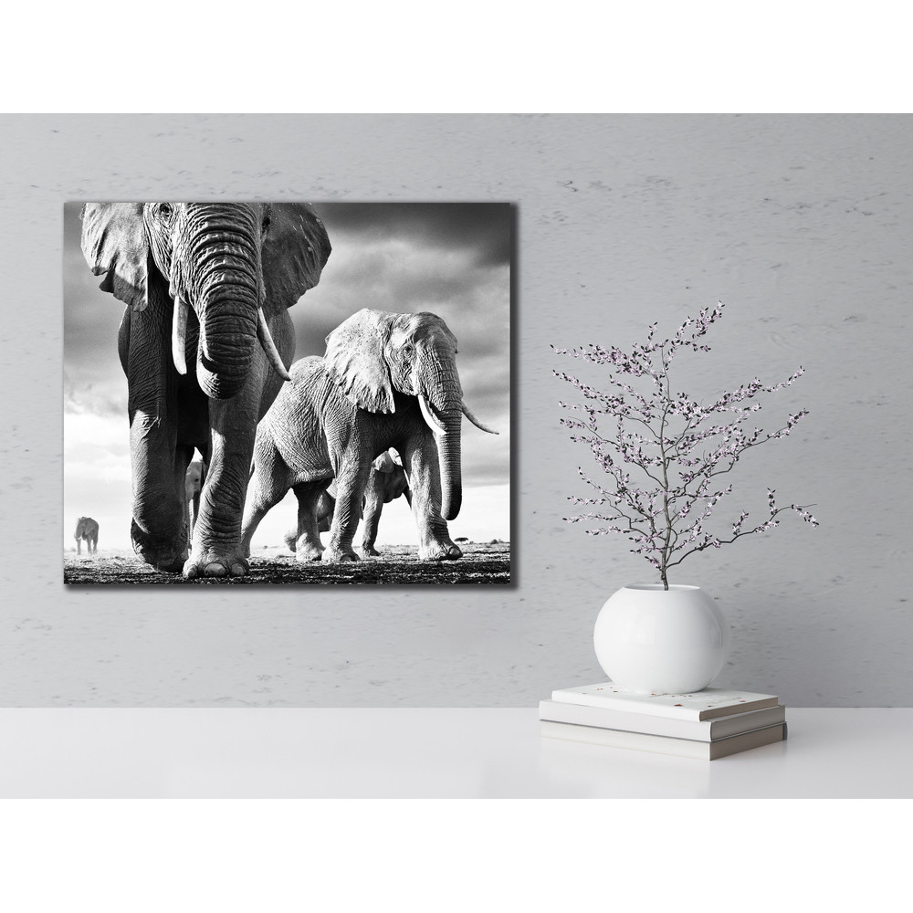 Elephant Print African Elephant Printable Wall Art, Black And White elephant, elephant Family Wall Art, Animal Canvas, elephant Wall Decor.jpg