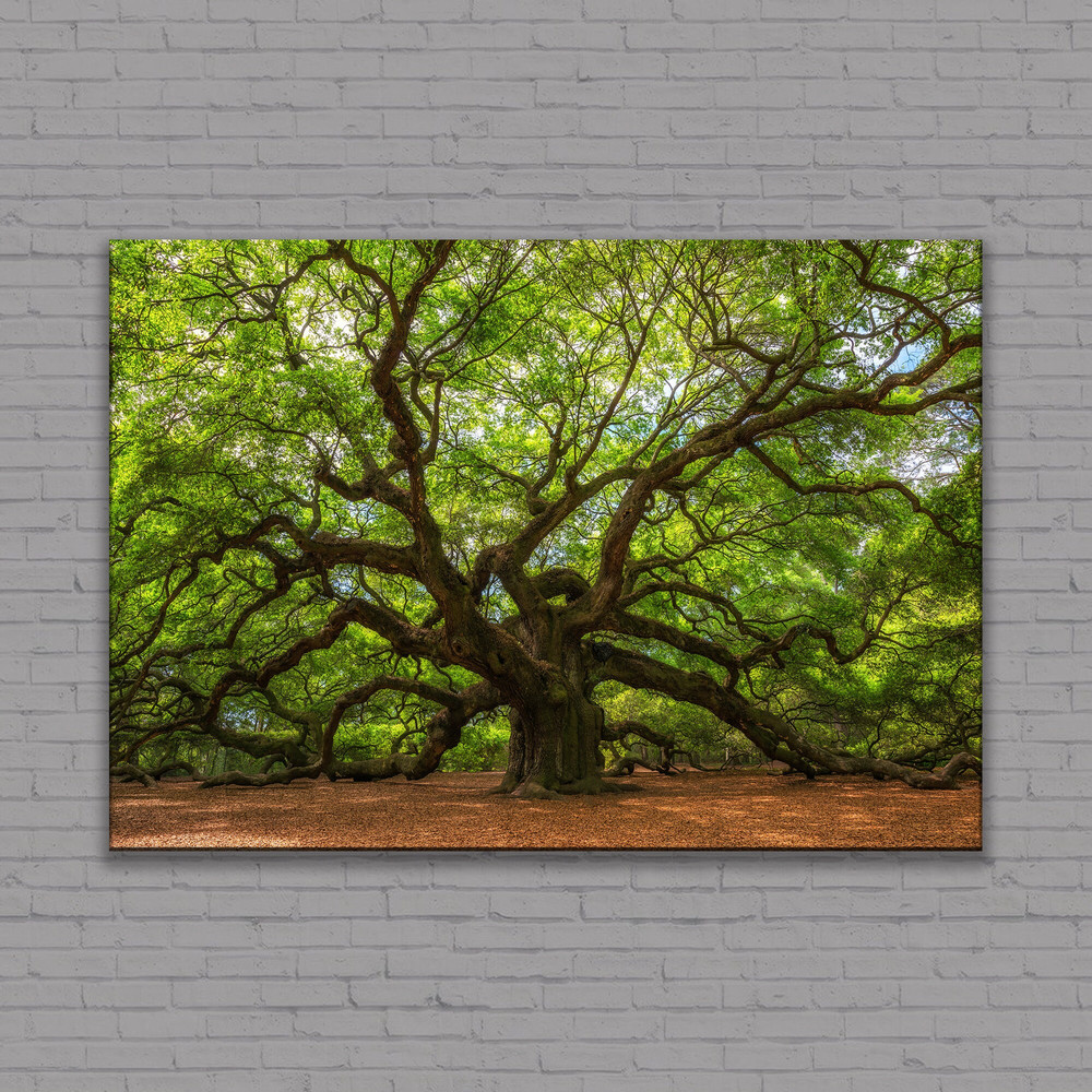Angel Oak Tree Wall Art Canvas, Vintage Tree Print, Nature Poster, Large Oak Tree of Life Art Prints, 3 and 5 Panel, Ready to Hang.jpg