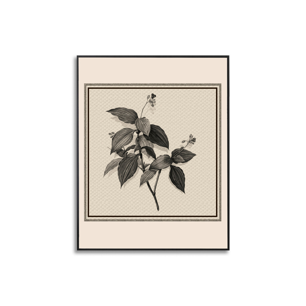 Dramatic Brown Flower Paintings, Plants Wallpaper, Vector Pattern Canvas, Plant Canvas, Brown colour decor canvas, Canvas Decor wall art.jpg