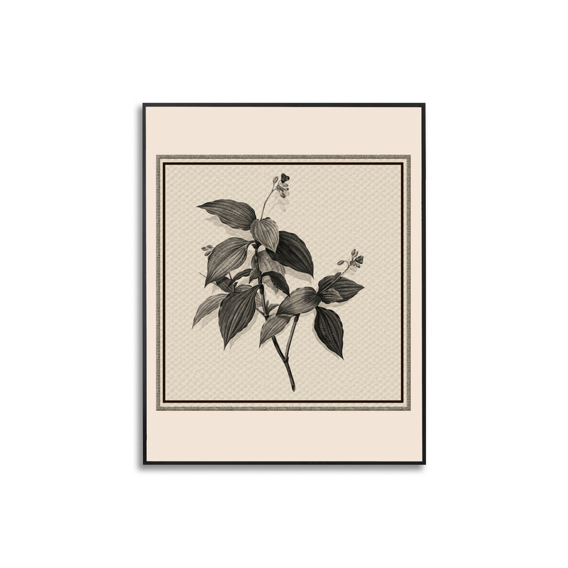 Dramatic Brown Flower Paintings, Plants Wallpaper, Vector Pattern Canvas, Plant Canvas, Brown colour decor canvas, Canvas Decor wall art.jpg