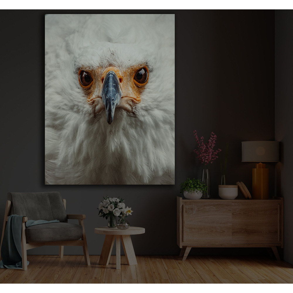 Sharp-eyed White Bald Eagle Wall Decor, Eagle Canvas Decor, Animals Wall Decor, Wild Life Wall Art, Wild Animals Decor.jpg