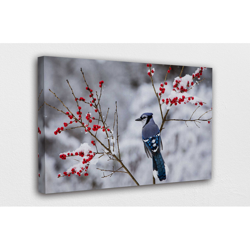 Winter Bird in a Beautiful Snow  Canvas Design  Poster Print Decor for Home & Office Decoration I POSTER or CANVAS READY to Hang.jpg
