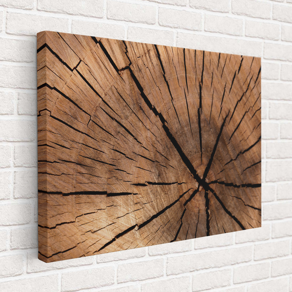 Wood Canvas, Tree Ring Canvas, Wood Texture Poster Print, Wood Decor, Modern Art, Wood Print Extra Large Wall Art, Farmhouse Gift.jpg