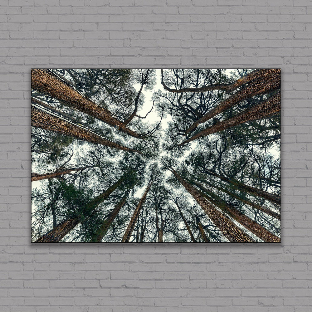 Tree Branch Print, Abstract Tree Large Canvas, Forest Print Tree Wall Art, Forest Wall Art Trees Canvas Print Extra Large Wall Art.jpg
