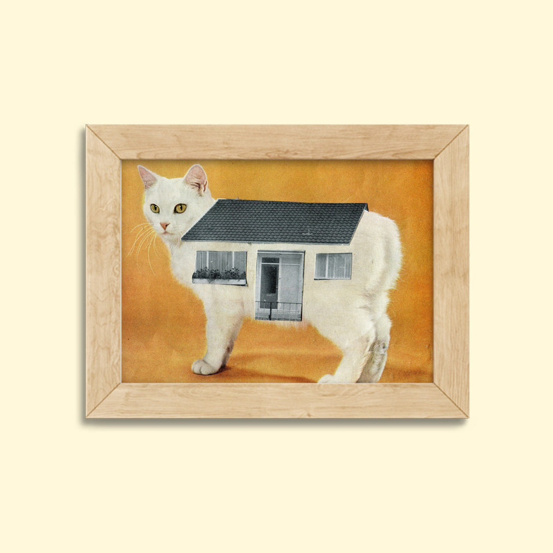 White cat print - Small cat gift - Cat is home - 5x7 art print - Beach aquarium print- Collage art.jpg