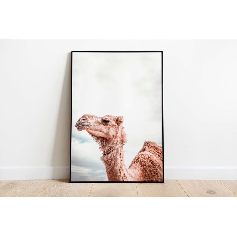 Camel Wall Art, Living Room Decor, Indian Prints, Animal Poster, Neutral Wall Art, House Warming Gifts, Poster, Desert Wall Art.jpg