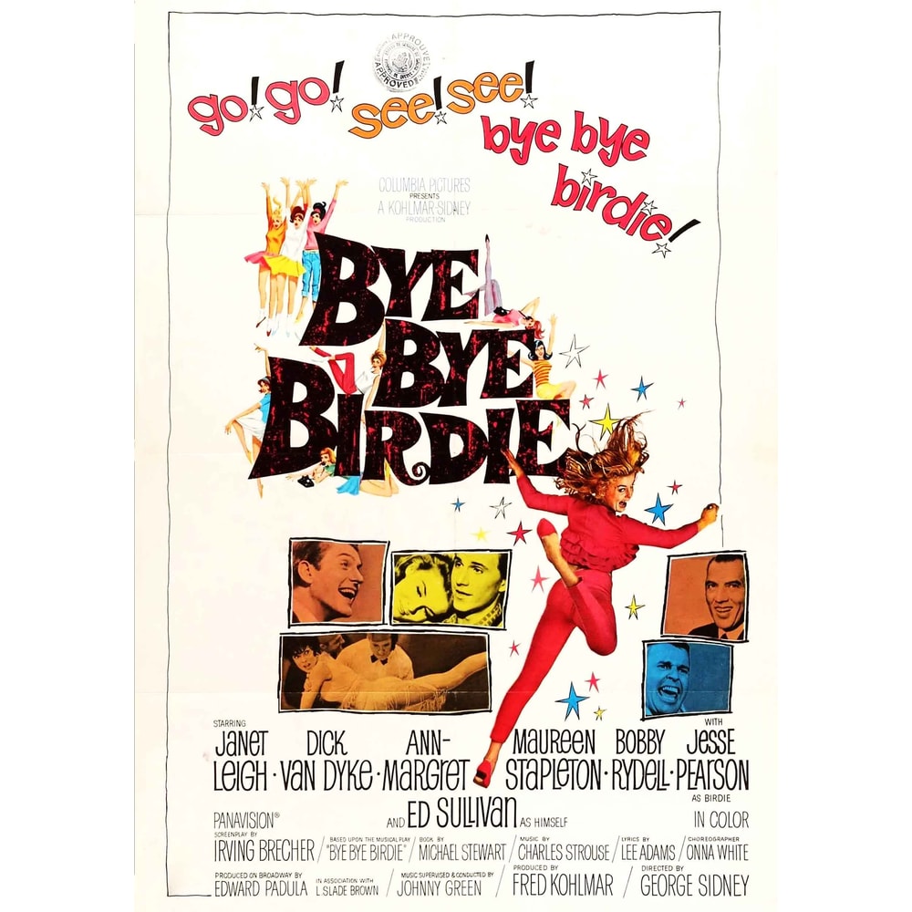 Bye Bye Birdie 1963 Movie POSTER PRINT A5A2 Cult Classic American 60s Musical Film Wall Art Decor.jpg