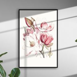 vintage magnolia flower botany poster illustration-1