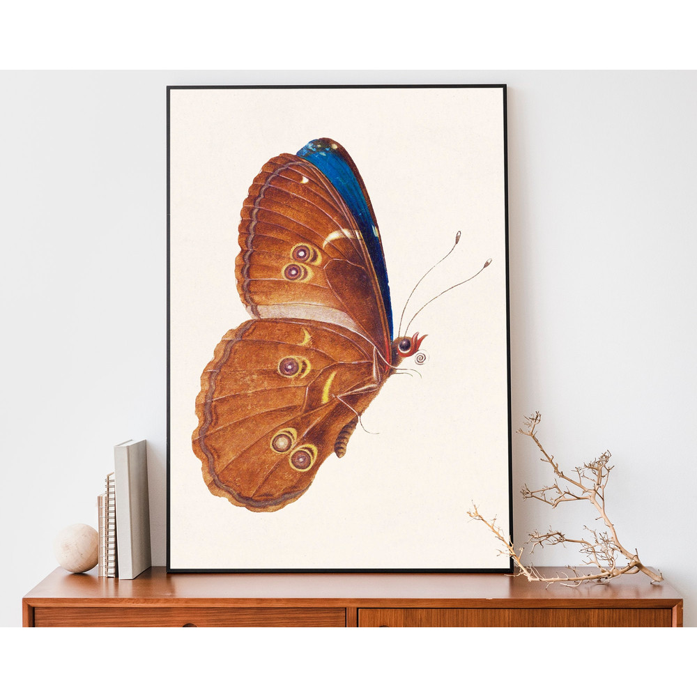 Vintage Butterfly Illustration Art Print, Rustic Print For Farmhouse Decor.jpg
