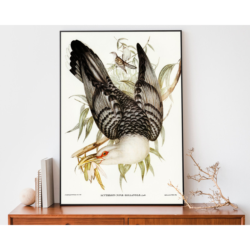John Audubon Cuckoo Art Print, Bird Illustration, Bird Lover Gift, Farmhouse Decor-1.jpg