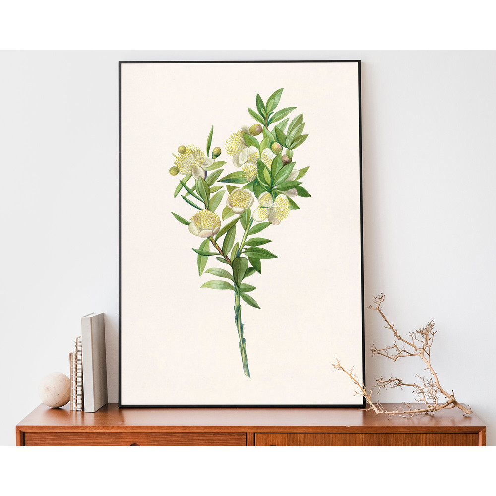 Vintage Myrtle Branch Art Print, Flower Poster, Botany Illustration, Antique Botanical Print.jpg