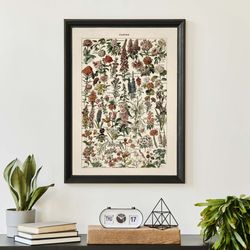 vintage flower chart poster, adolphe millot print, antique floral print, botanical home decor
