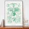 Vintage Ernst Haeckel Art Print, Botanical Poster, Fern Drawing, Scientific Chart, Plant Diagram.jpg