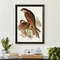 John Audubon Hawk Bird Art Print, Vintage Birds Of Australia Poster, Antique Bird Of Prey Illustration.jpg